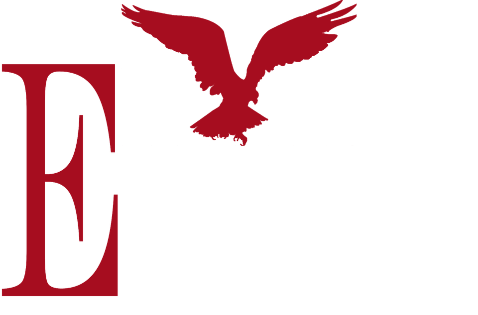 EnvolEXPERTS, retour à l'accueil